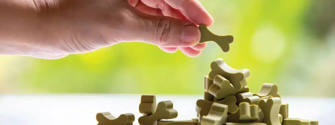 El alimento y los snacks que tu perro necesita