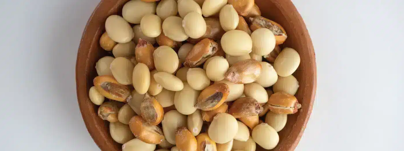 Loncheras con chochos: Una opción deliciosa y económica