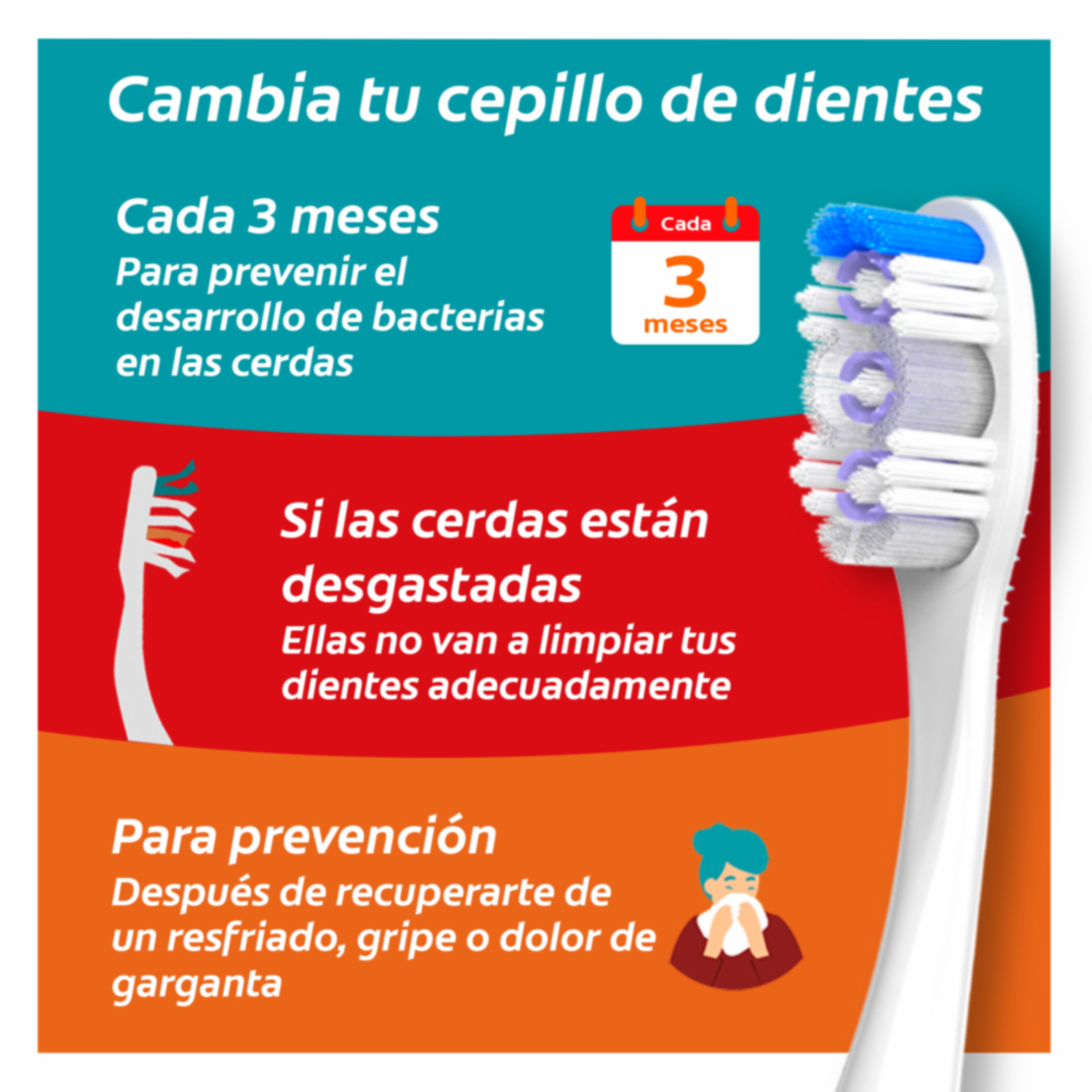 Cepillo Dental Pro Cuidado Suave COLGATE X 4 Uds