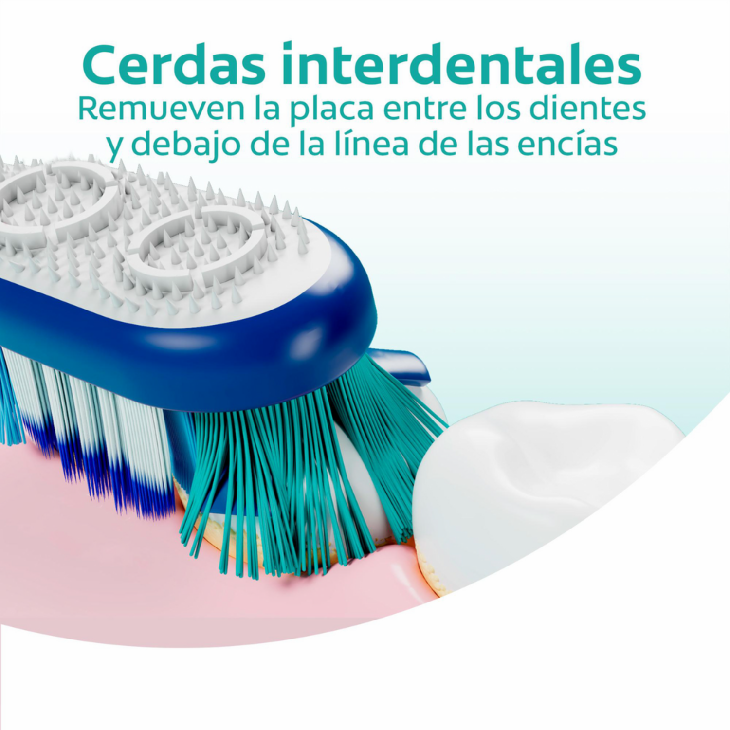 Cepillo Dental 360 Cerdas Suaves COLGATE 1X2 Unidades