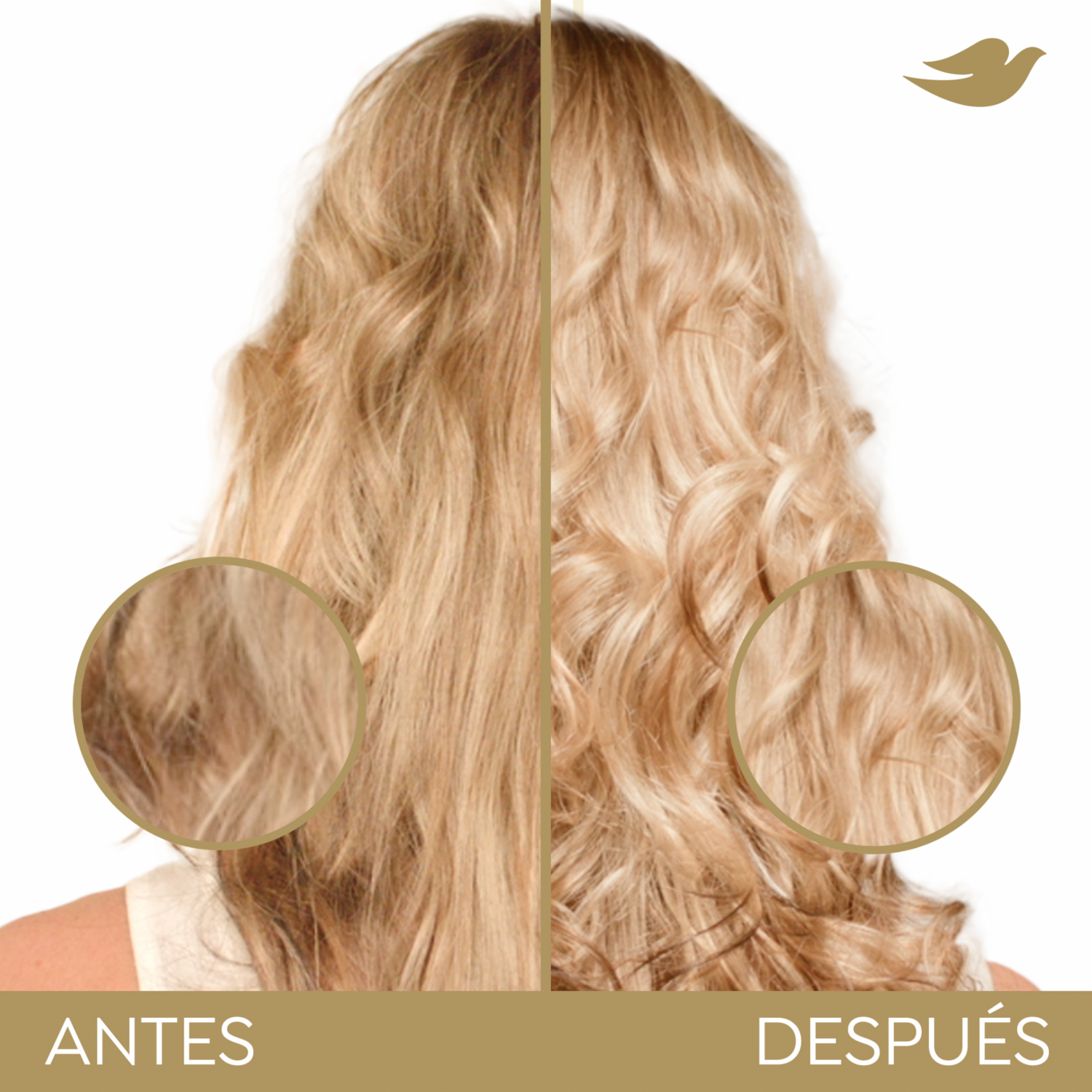 Tratamiento Capilar Bond Intense Repair DOVE 250 Ml