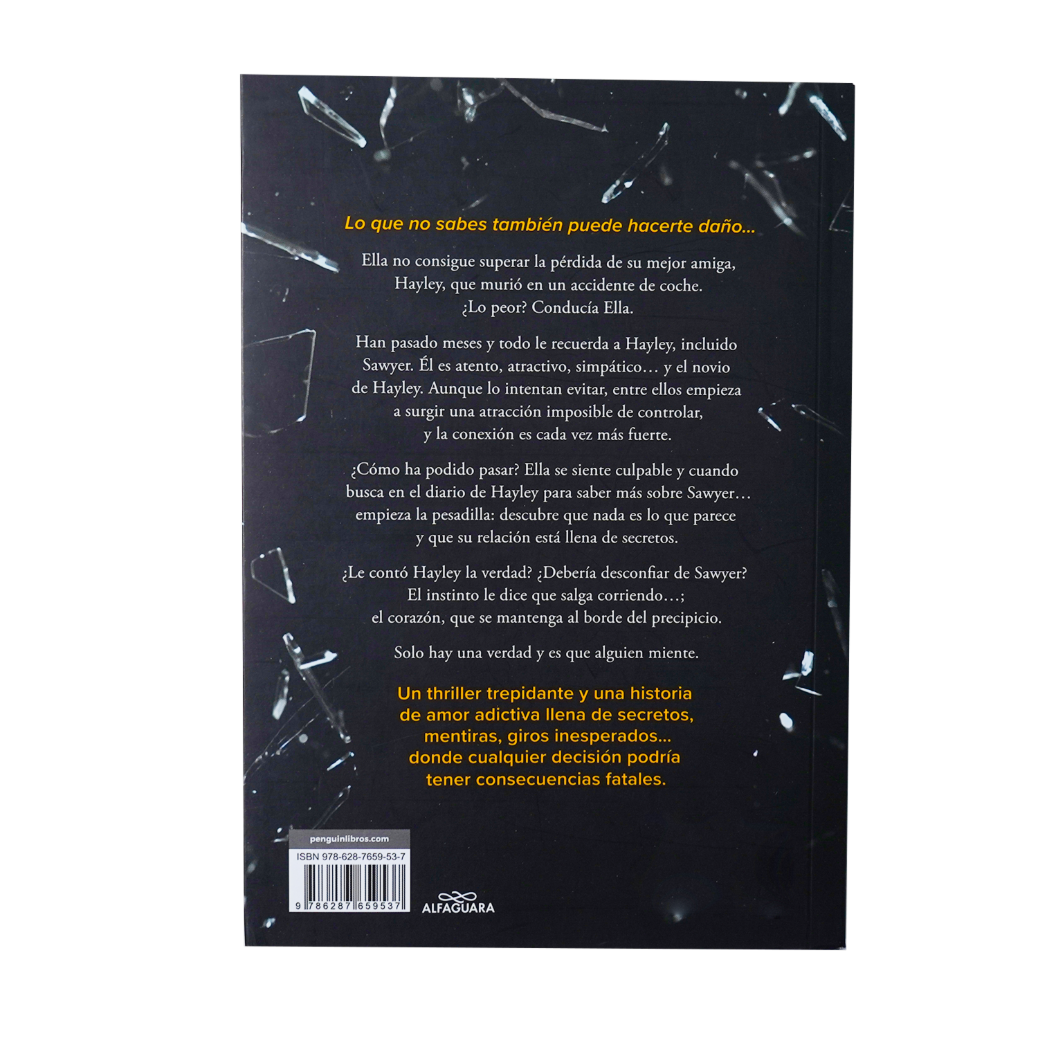 Libro Todo Lo Que Nunca Dijimos ALFAGUARA 305 Páginas