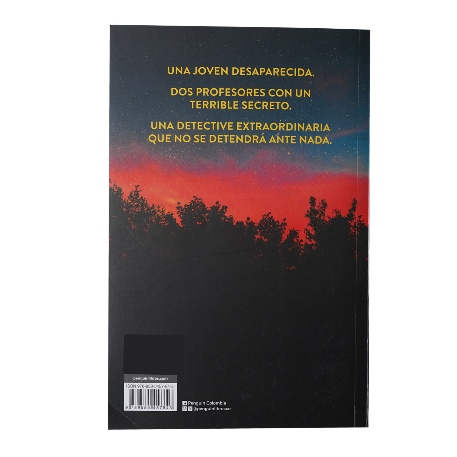 Libro Holly PLAZA & JANES 258 Páginas