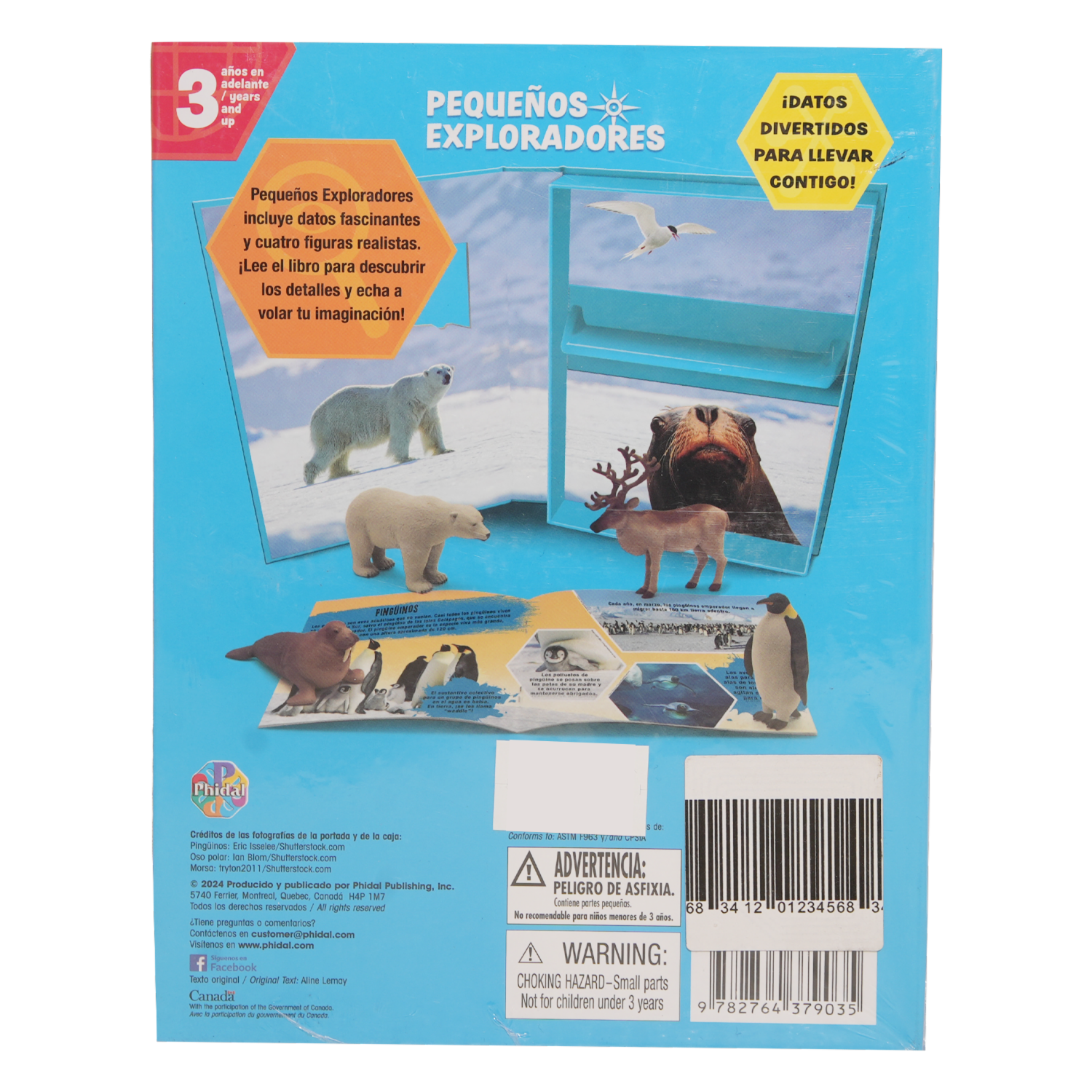 Libro Arctic Animals Pequeños Exploradores PHIDAL 10 Páginas
