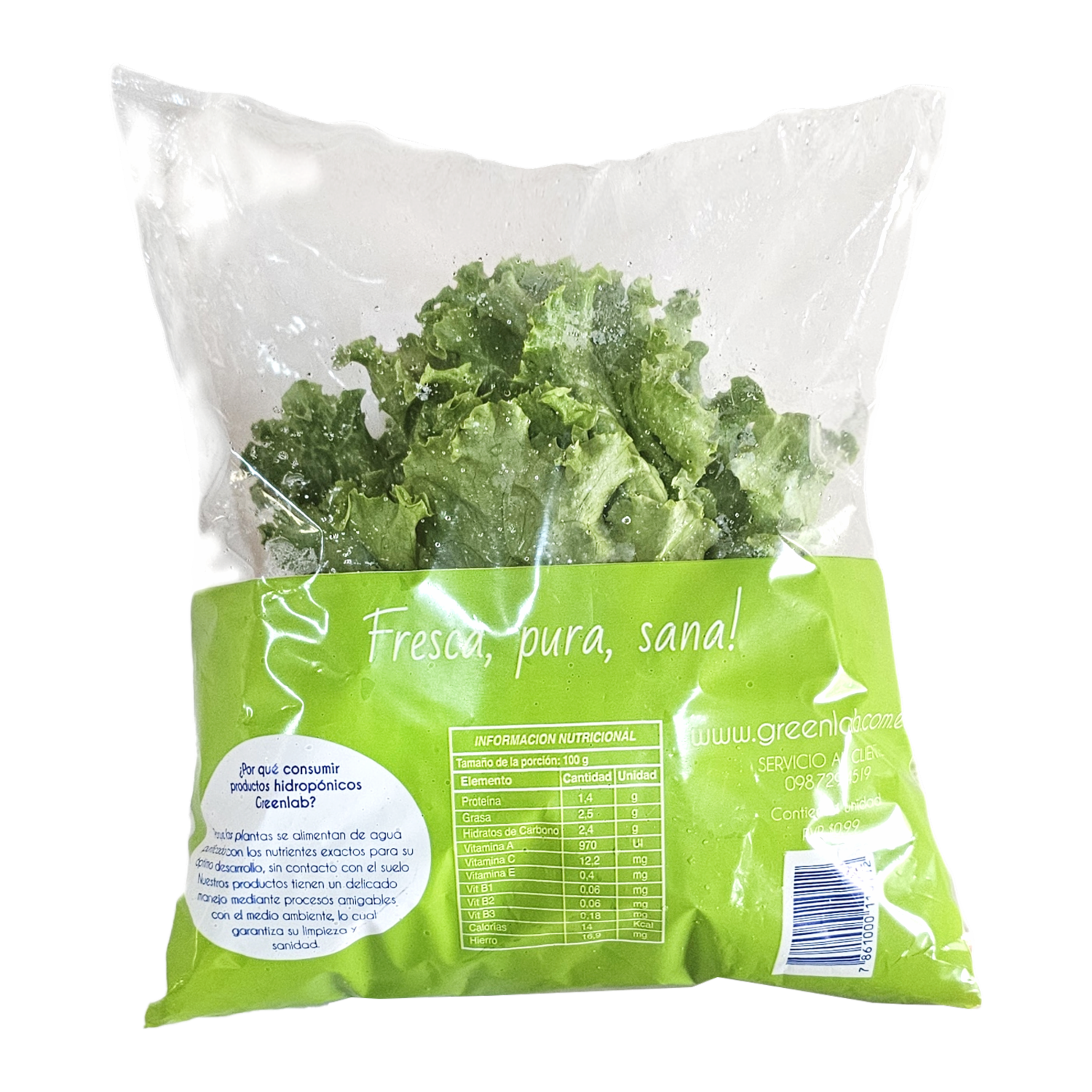 Lechuga Crespa Hidropónica Crispada GREENLAB 200 G