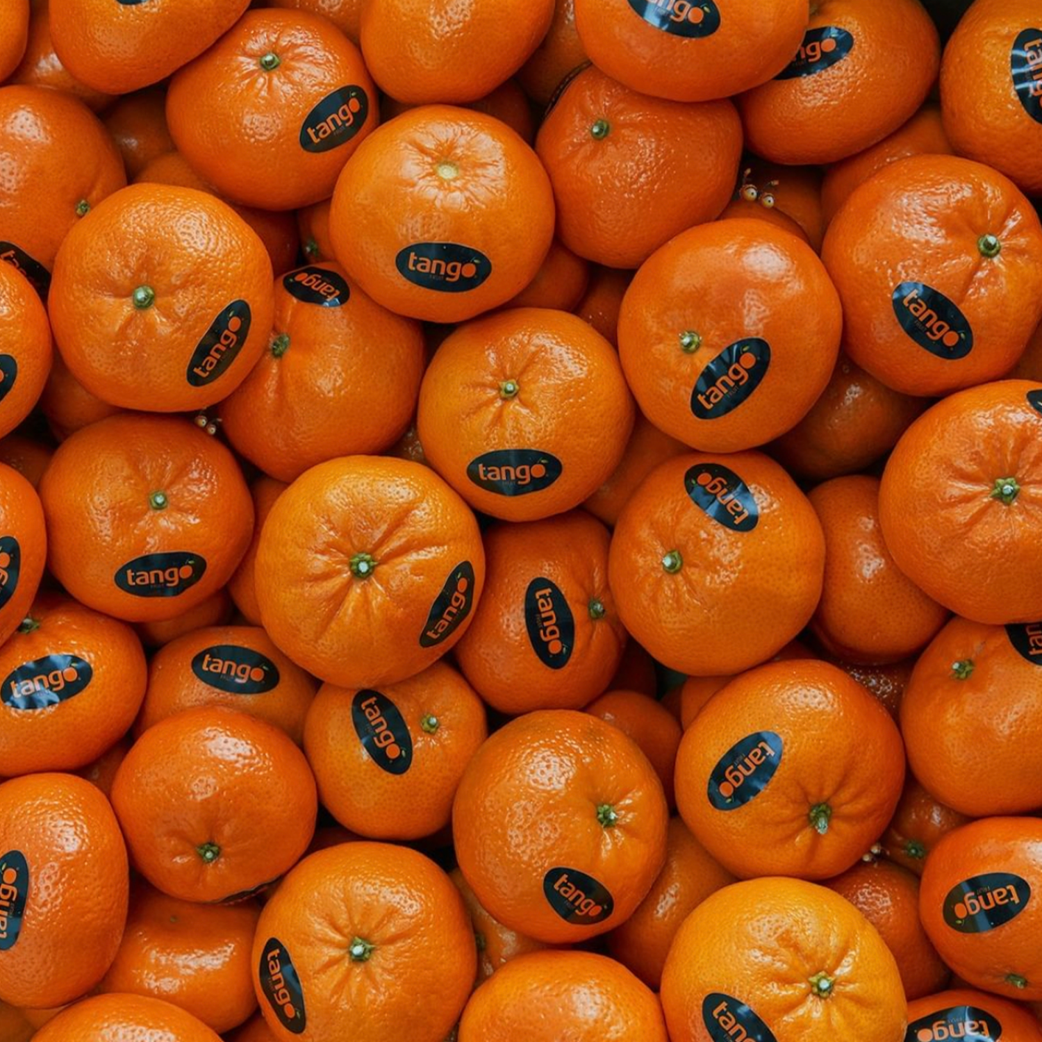 Mandarina Tango CF GRANEL Al Peso