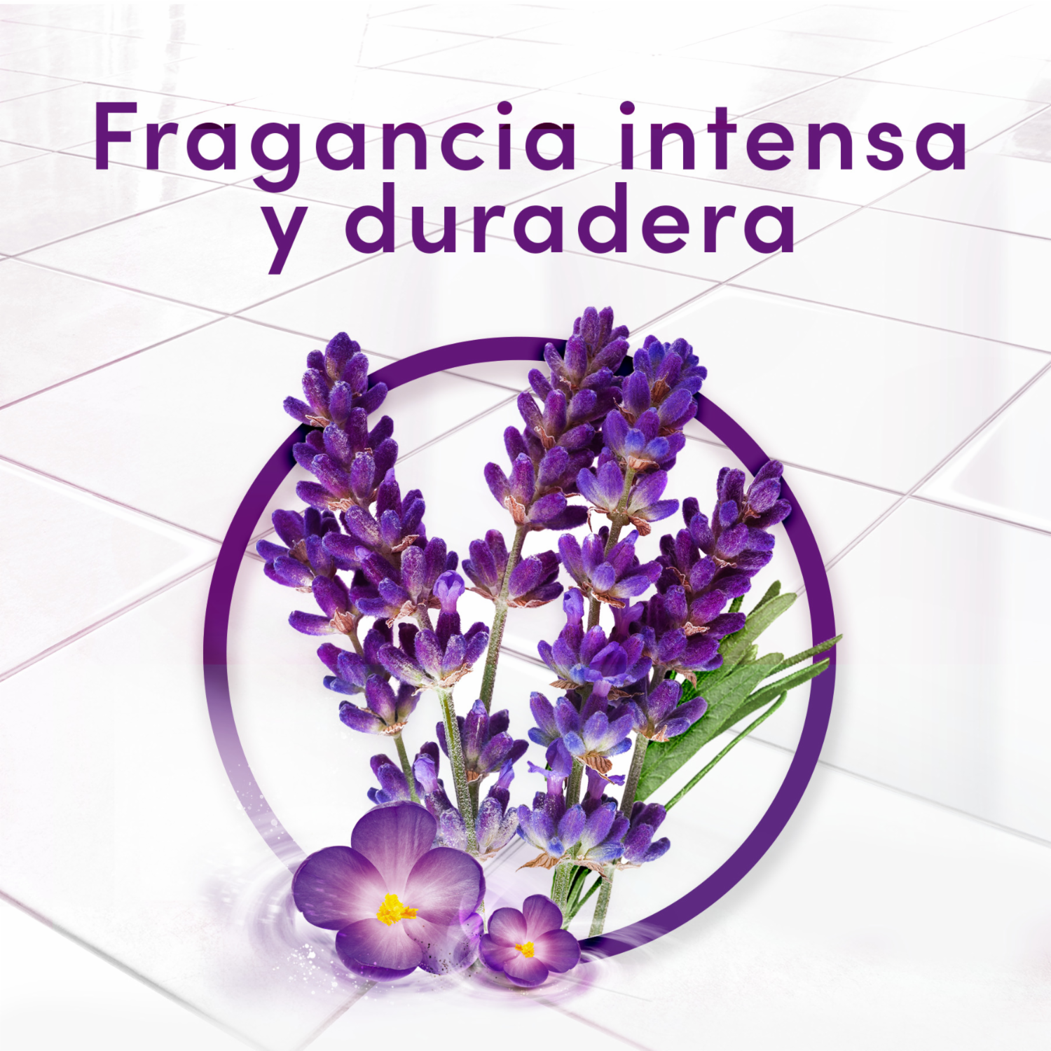 Limpiador Desinfectante Antibacterial  Lavanda FABULOSO 3000 Ml