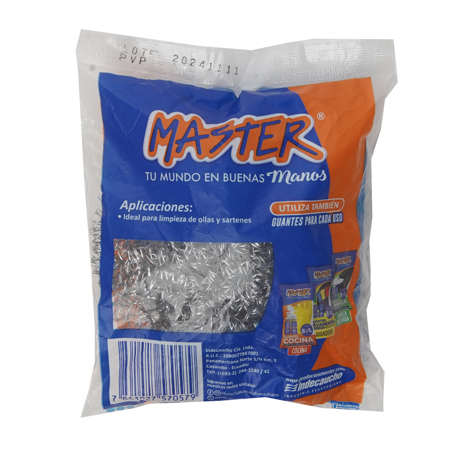 Esponja Plateada MASTER Unidad