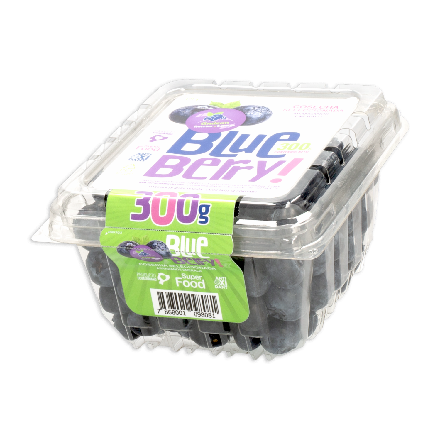 Arándanos Berries & Berries ANDEAN 300 G