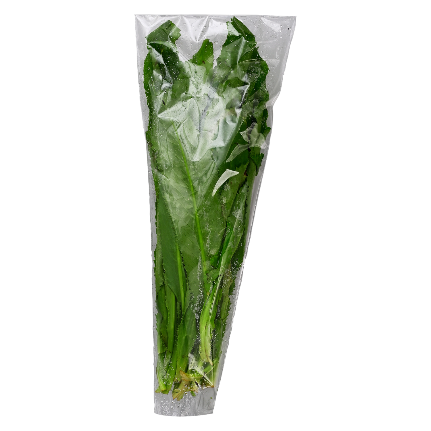 Chillangua Fresca AGROFIT 50 g